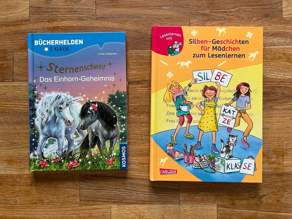 Bücher - Sternenschweif und Silbengeschichten für Mädchen in Dahlen