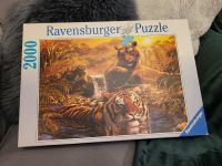 2000 Teile Ravensburger Puzzle | Tiger am Wasserloch Nordrhein-Westfalen - Emsdetten Vorschau