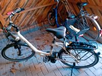 Damenfahrrad Kalkhoff E - bike , 26Zoll, 7 Gänge Schleswig-Holstein - Kropp Vorschau