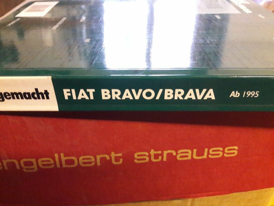 So wird's gemacht Fiat Brava Bravo in Lippstadt