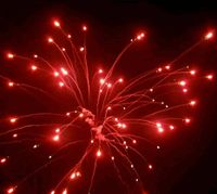 Hochzeits- Geburtstags- Jubiläums- Feuerwerk Nordrhein-Westfalen - Haan Vorschau