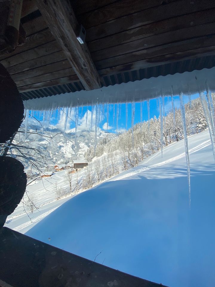 Skihütte Almhütte Berghütte Wohnungen ❤️ ZILLERTAL Tirol in München