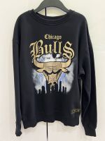 Jungen Pullover Chicago Bulls gr.xs neuwertig!!! Baden-Württemberg - Sindelfingen Vorschau