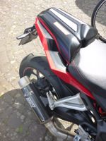 Honda CB + CBR 650 R Sozius - Sitz Abdeckung mit ABE - BODY STYLE Brandenburg - Bad Liebenwerda Vorschau