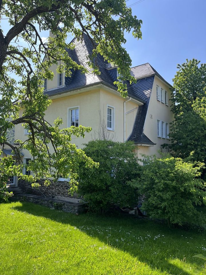 Villa im Weinanbaugebiet Moseltal in Burgen