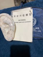China Akupunktur Ohrmodell TCM 13cm Meridian Tasche Anleitung Frankfurt am Main - Westend Vorschau