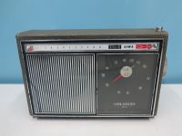 altes Koffer Radio Kunstleder überzug, ca 60er Jahre funktioniert Baden-Württemberg - Friedrichshafen Vorschau