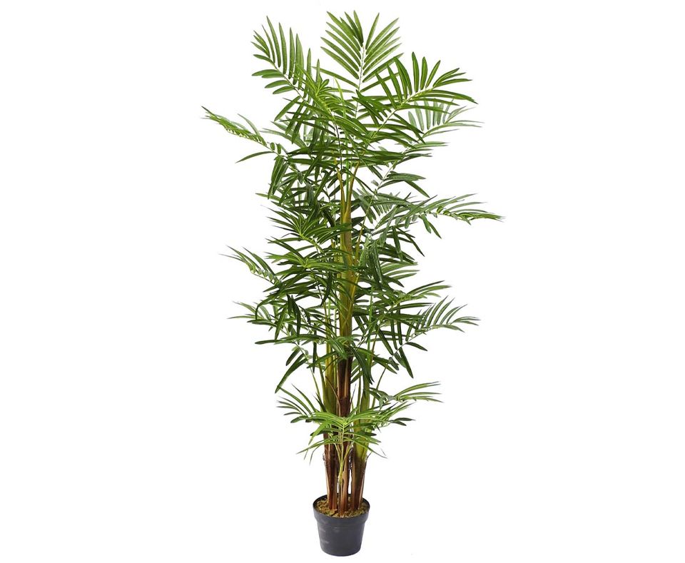 Areca Palme mehrstämmig Kunstpalme 25 Palmwedel 160cm #82509456A in Jettenbach