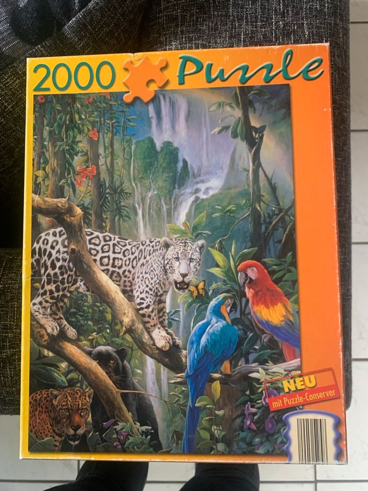 2000 Puzzle in Everswinkel