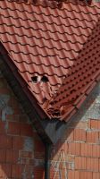 Dringend einige Dachziegel zu ersetzen Bayern - Eckersdorf Vorschau