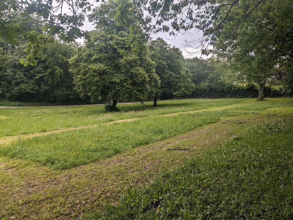 Spaziergang im Parkgebiet mit spontanem Gebrüll für's Weltall in Duisburg