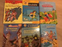 Leserabe Lesetiger Duden Drache Kokosnuss Olchis 2./3. Klasse Bayern - Leinach Vorschau