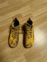 Puma AG Fußballschuhe Gr. 43, gelb Nordrhein-Westfalen - Hagen Vorschau