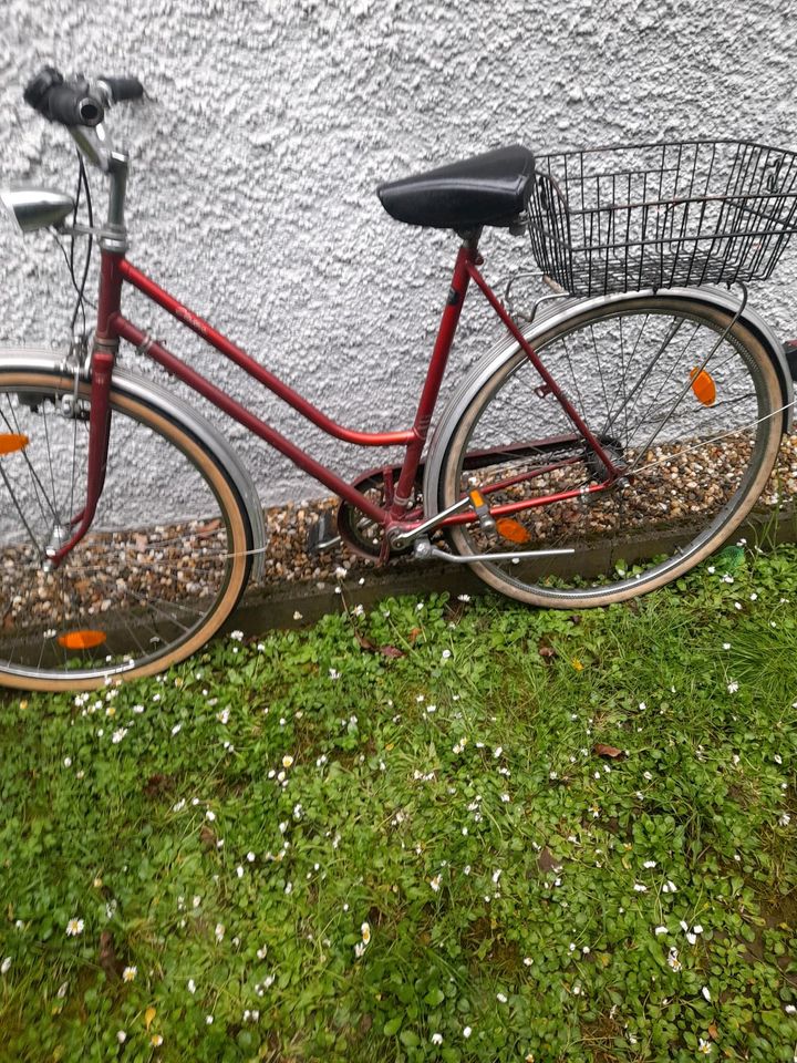 Damen Fahrrad Herkules. in Mannheim