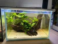 Aquarium 12L 30x20x20 Nordrhein-Westfalen - Castrop-Rauxel Vorschau