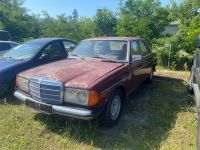 Mercedes-Benz 240D W123 Brandenburg - Trebbin Vorschau