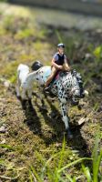 Schleich Stute mit Fohlen und Reiterin Niedersachsen - Bersenbrück Vorschau