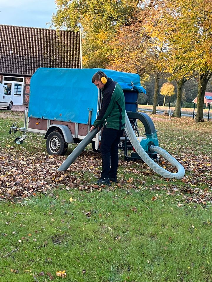 Laubsammeln Gartenpflege Gartenarbeit in Neuenkirchen-Vörden