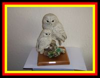 G. Armani Figur 2 weisse Eulen Raubvögel Capodimonte Florence Mecklenburg-Strelitz - Landkreis - Neverin Vorschau