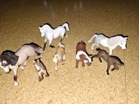 Schleich Pferde Set Lipizzaner Pony Fohlen neuwertig Baden-Württemberg - Villingen-Schwenningen Vorschau