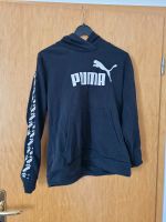 Pullover Puma gr 40 / 42 Sachsen - Crimmitschau Vorschau