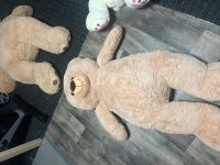 Teddybär groß Harburg - Hamburg Hausbruch Vorschau