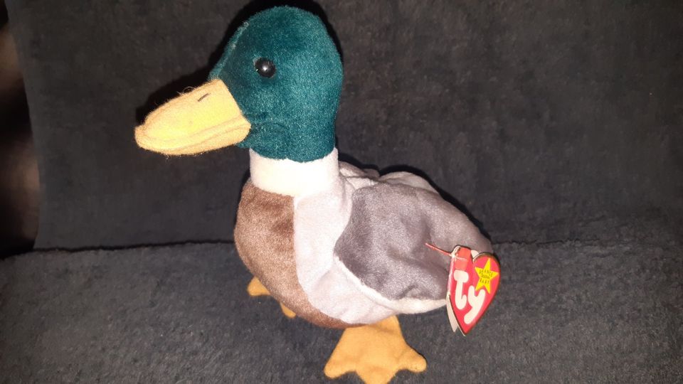 TY Beanie Baby Sammlung in Niederkrüchten