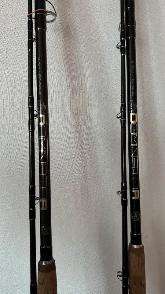 Mantikor Dominator 2,70 150-500G Wallerrute Welsrute (No Zeck) in Saarbrücken