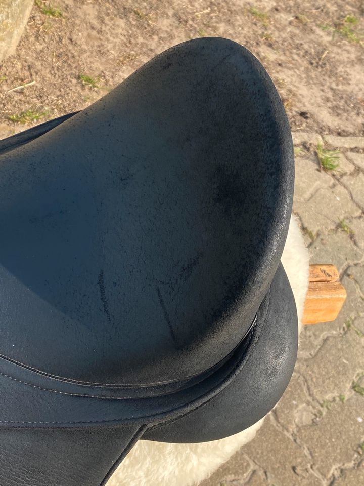 Wintec Isabell Werth Dressursattel 16,5 Chair schwarz Pony Pferd in Kollmar