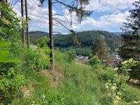 GANESHA-IMMOBILIEN...schöne Waldlichtung mit Fernblick ins Tal zu verkaufen ! Bayern - Wallenfels Vorschau