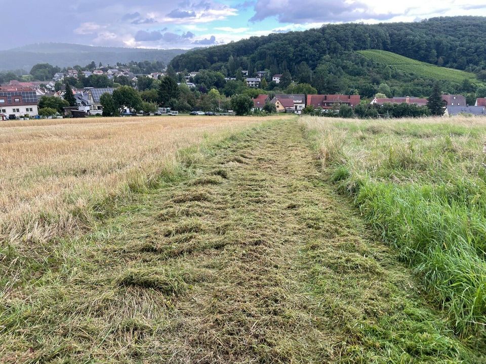 Wiesen/Baugrundstücke/Streuobstwiesen/Freizeitgrundstücke Mähen in Untergruppenbach