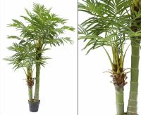 Areca Kunstpalme 33 Palmwedel+Zementtopf, H: 170cm #82509404A Bayern - Jettenbach Vorschau