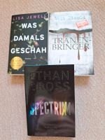 Thriller Bücher Paket zusammen für 10 Euro Niedersachsen - Bad Sachsa Vorschau