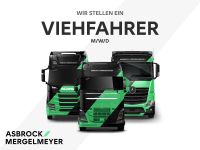 VIEHFAHRER / KRAFTFAHRER / LKW-FAHRER m/w/d Niedersachsen - Hilter am Teutoburger Wald Vorschau