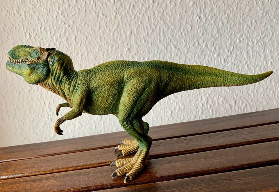 Dinosaurier mit beweglichem Unterkiefer❗️ in Schornsheim