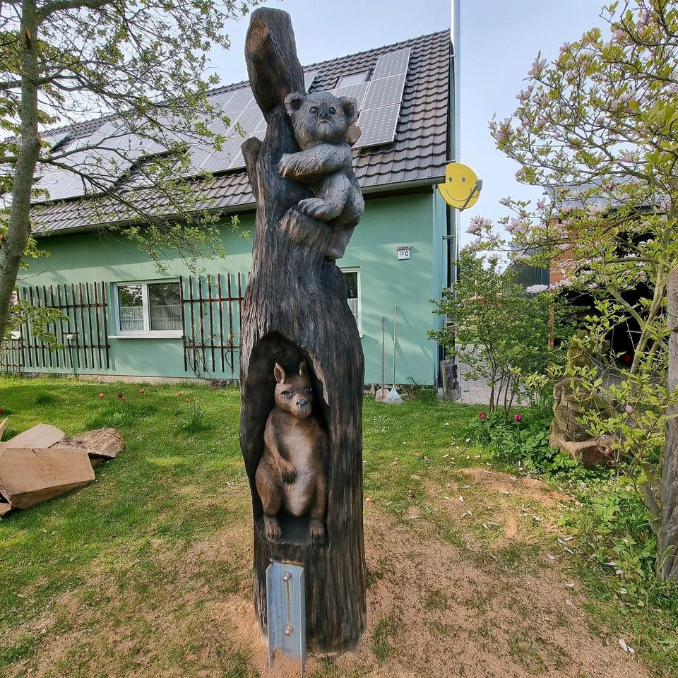 Kettensägenkunst/ Skulpturen/ Baumstumpfgestaltung/ Schnitzereien in Sohland