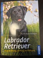 Buch Labrador Niedersachsen - Apen Vorschau