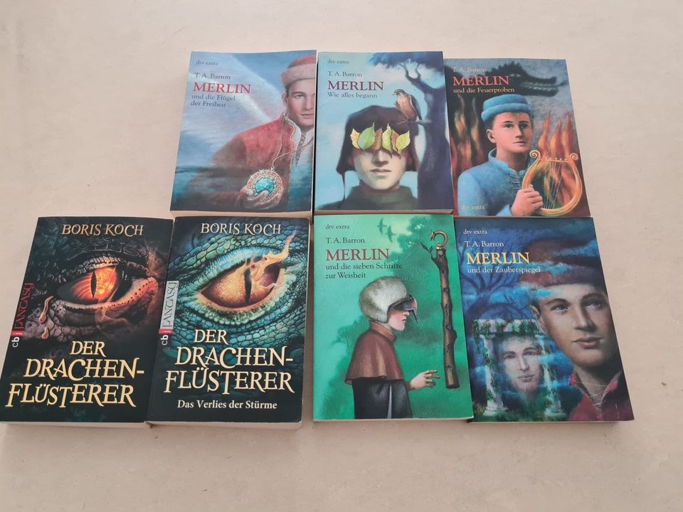 Bücher (5 Merlin Bücher + 2 Drachenflüsterer) in Hamburg