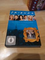 Friends Staffel 8 Köln - Ehrenfeld Vorschau