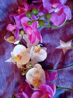 Künstliche Pflanzen Orchidee Kreis Pinneberg - Rellingen Vorschau