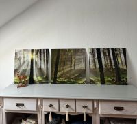 Glassbilder 3er Set Wandbild 50x50cm Glasbild Wald Natur NP 160€ Bayern - Oberelsbach Vorschau