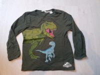 Langarmshirt Gr 110 116 Dino jurassic Park junge Güstrow - Landkreis - Laage Vorschau