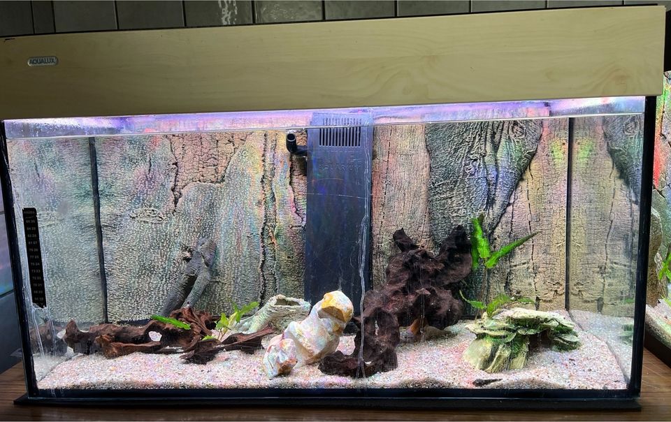 Aquarium 80x35x40 cm mit Abdeckung in Neukirchen