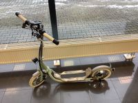 NITO N1e Scooter Elektroroller Rheinland-Pfalz - Mainz Vorschau