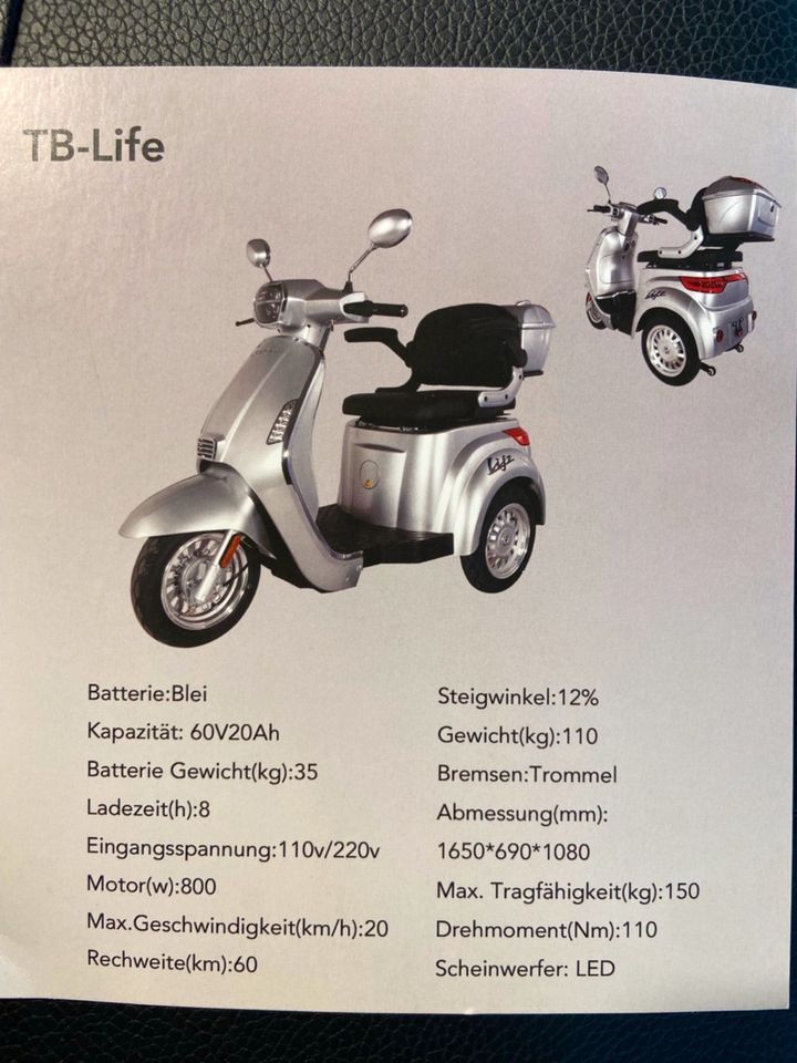 TINBOT LIFE 20km/h Elektro 3-Rad in Stuttgart