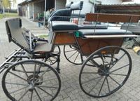 Wagonette / Kutsche von Kufa Baden-Württemberg - Horb am Neckar Vorschau