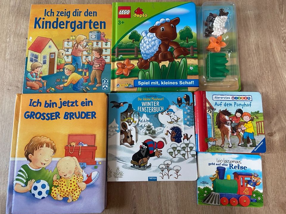 Viele Bilderbücher, Buggybücher, Fühlbücher in Osnabrück