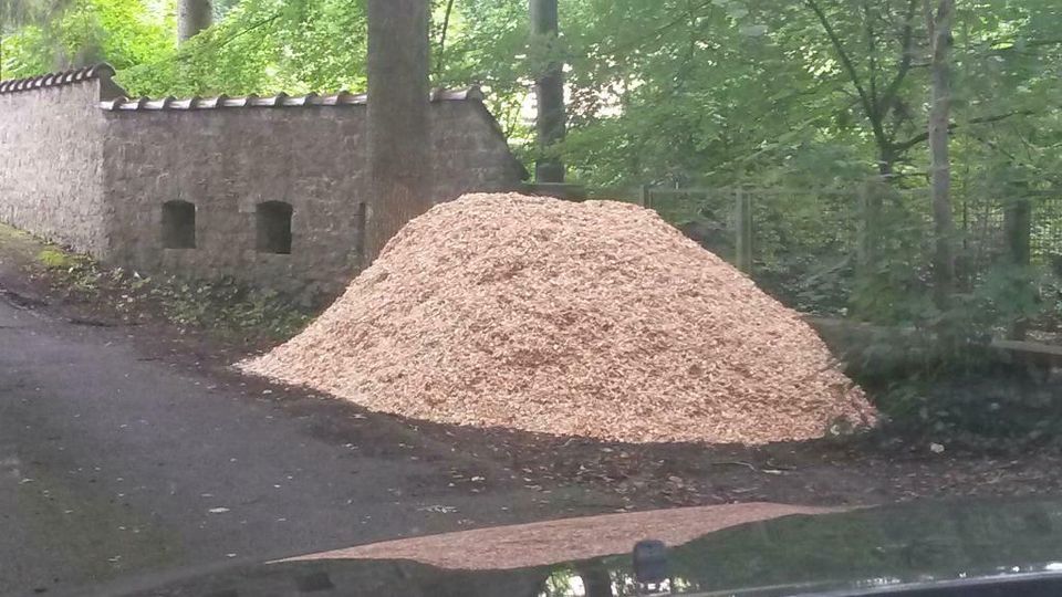 7 m³ Holz-Hackschnitzel (super Qualität) , Lieferservice in Northeim