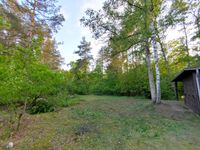 Tiny House - EH55 Bungalow auf Pachtgrundstück in Faßberg in der Lüneburger Heide Niedersachsen - Faßberg Vorschau