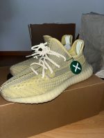 Yeezy Boost 350 v2 Antlia Ungetragen mit OVP und Beleg von StockX Nordrhein-Westfalen - Hamm Vorschau